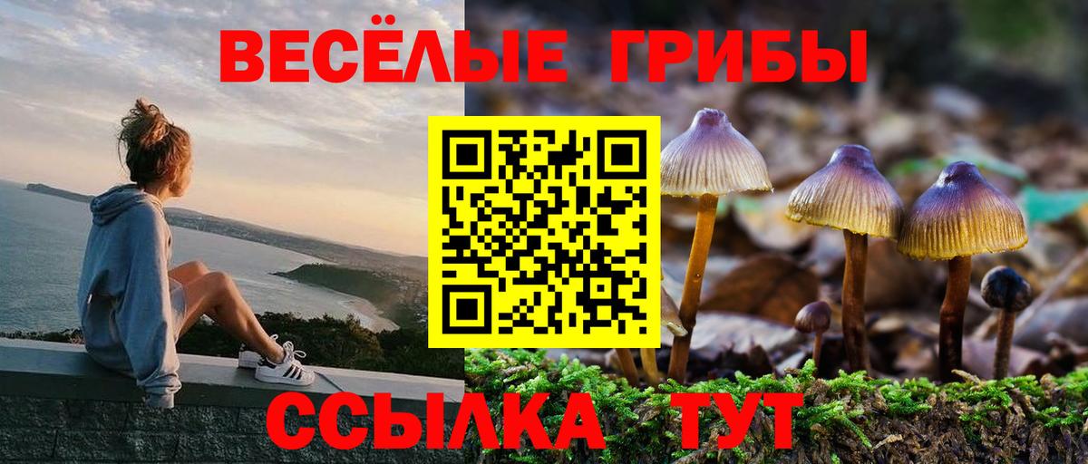 Шатура  Псилоцибиновые грибы GOLDEN TEACHER  Вход с VPN  Галлюциногенные грибы Cubensis 